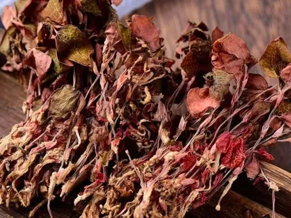 Το Super Grade Dried Anoectochilus Roxburghii φτάνει σε εξειδικευμένες αγορές