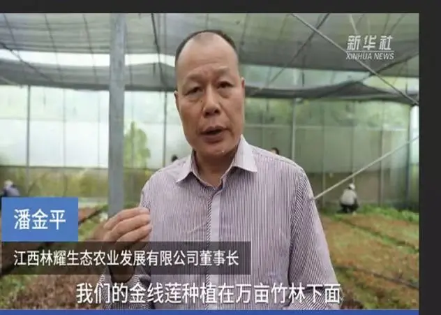 Ο Pan Jinping, Πρόεδρος της Jiangxi Linyao Ecological Agriculture Development Co., Ltd., πήρε συνέντευξη από το πρακτορείο ειδήσεων Xinhua